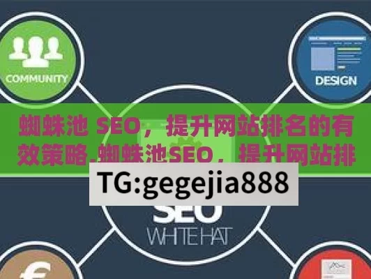 蜘蛛池 SEO，提升网站排名的有效策略,蜘蛛池SEO，提升网站排名的利器