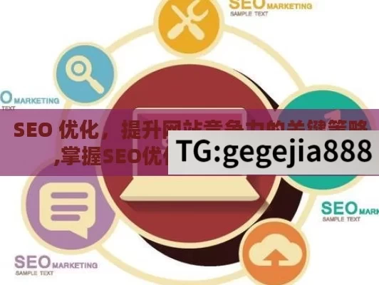 SEO 优化，提升网站竞争力的关键策略,掌握SEO优化，提升网站流量