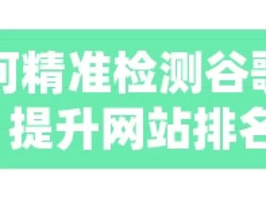 揭秘！如何精准检测谷歌SEO效果，提升网站排名？，精准检测谷歌 SEO 效果之法