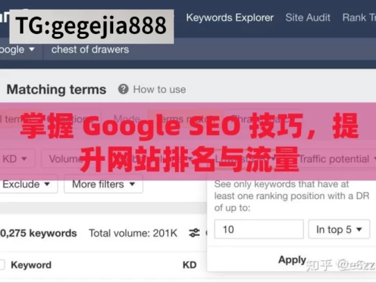 掌握 Google SEO 技巧，提升网站排名与流量