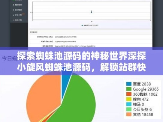 探索蜘蛛池源码的神秘世界深探小旋风蜘蛛池源码，解锁站群快速收录的秘密
