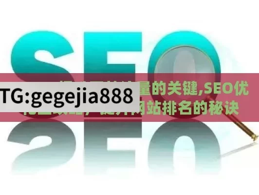 SEO，提升网站流量的关键,SEO优化全攻略，提升网站排名的秘诀