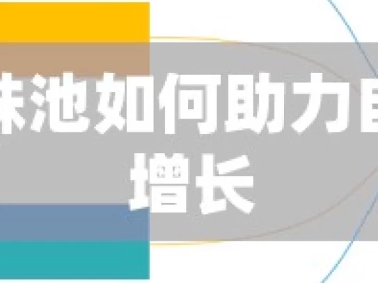 谷歌蜘蛛池如何助力自然流量增长