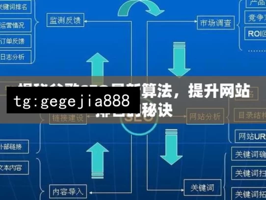 揭秘谷歌SEO最新算法，提升网站排名的秘诀，揭秘谷歌SEO最新算法奥秘