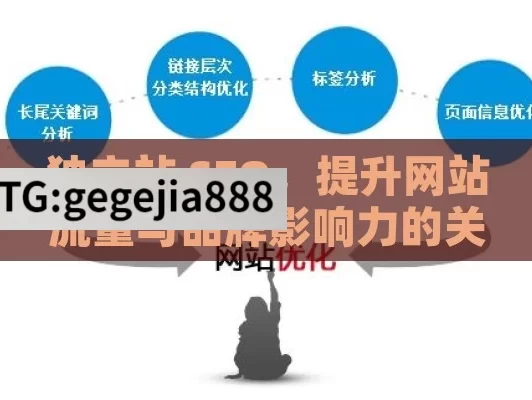 独立站 SEO，提升网站流量与品牌影响力的关键,独立站SEO优化指南