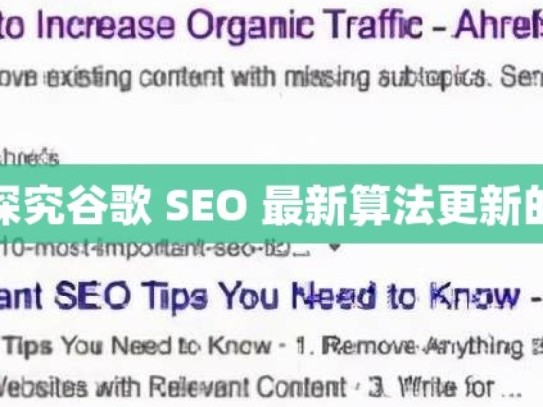 深入探究谷歌 SEO 最新算法更新的奥秘