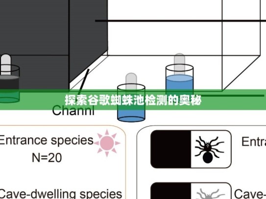 探索谷歌蜘蛛池检测的奥秘