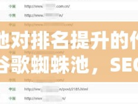 谷歌蜘蛛池对排名提升的作用究竟如何？揭秘谷歌蜘蛛池，SEO排名提升的利器还是无效噱头？