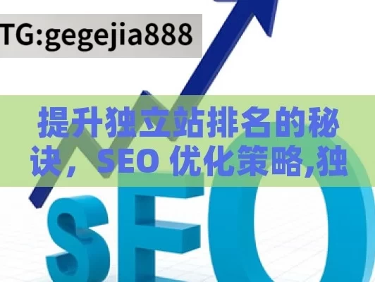 提升独立站排名的秘诀，SEO 优化策略,独立站SEO优化秘籍