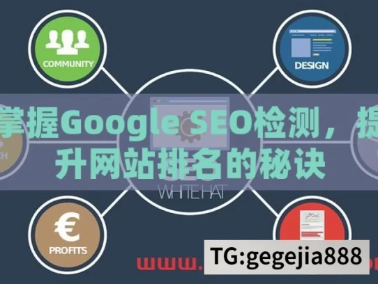 掌握Google SEO检测，提升网站排名的秘诀