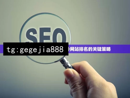 探索 Google SEO，提升网站排名的关键策略，探索 Google SEO 关键策略