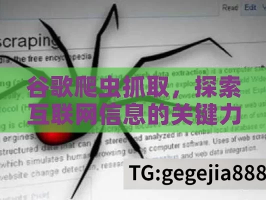 谷歌爬虫抓取，探索互联网信息的关键力量,谷歌爬虫抓取，揭秘搜索引擎的幕后英雄