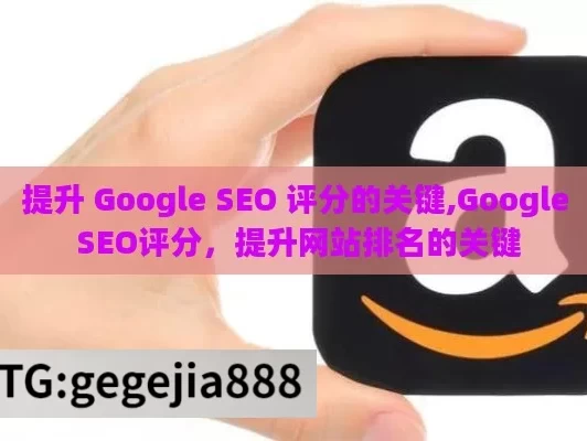 提升 Google SEO 评分的关键,Google SEO评分，提升网站排名的关键