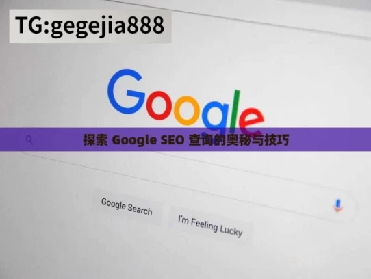 探索 Google SEO 查询的奥秘与技巧，探索 Google SEO 查询的奥秘及技巧