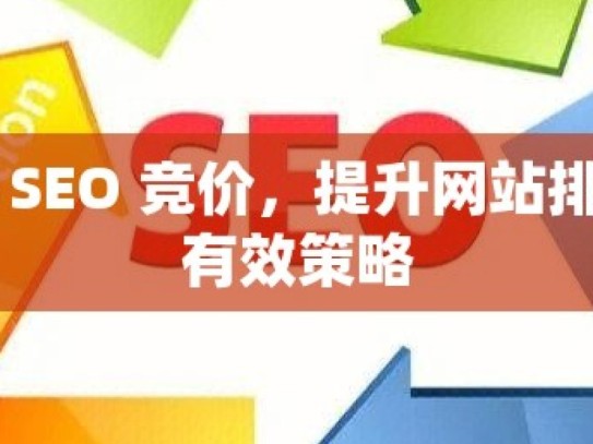 谷歌 SEO 竞价，提升网站排名的有效策略