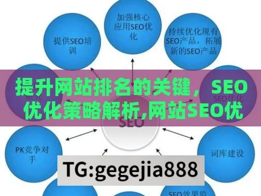 提升网站排名的关键，SEO 优化策略解析,网站SEO优化秘籍