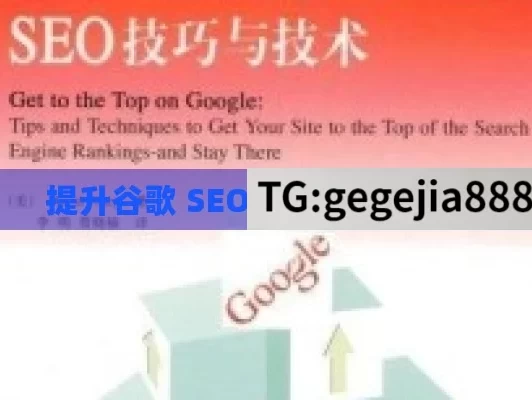 提升谷歌 SEO 排名的实用秘籍