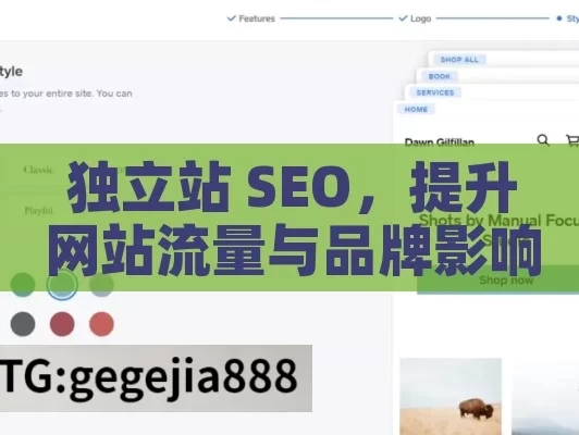 独立站 SEO，提升网站流量与品牌影响力的关键,独立站SEO，解锁跨境电商成功密码