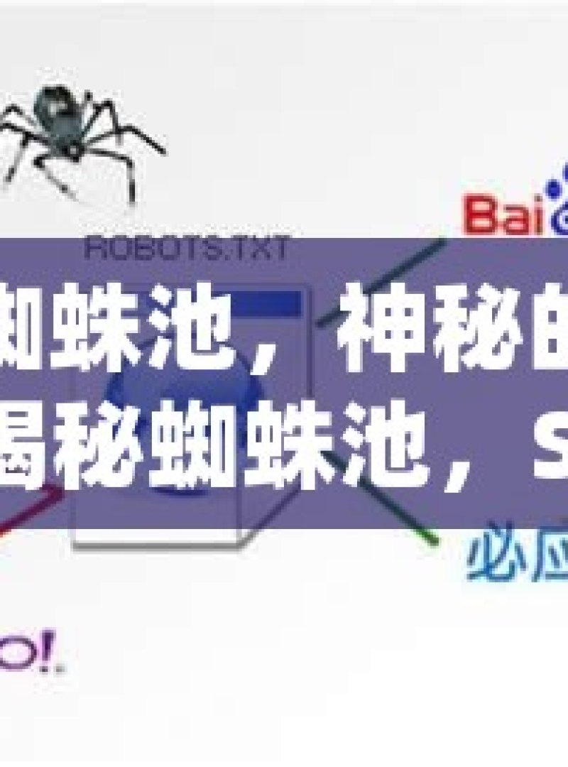 探秘蜘蛛池，神秘的网络世界揭秘蜘蛛池，SEO优化的神秘工具还是搜索引擎的禁忌？ - 