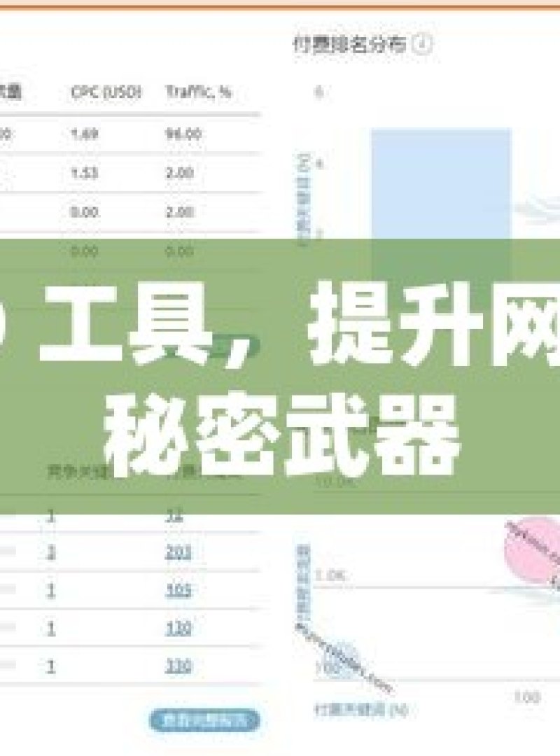 谷歌 SEO 工具，提升网站排名的秘密武器 - 