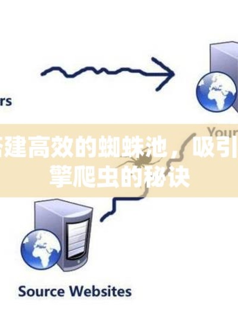 如何搭建高效的蜘蛛池，吸引搜索引擎爬虫的秘诀 - 