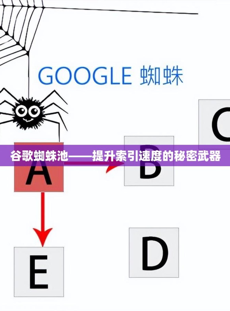 谷歌蜘蛛池——提升索引速度的秘密武器 - 