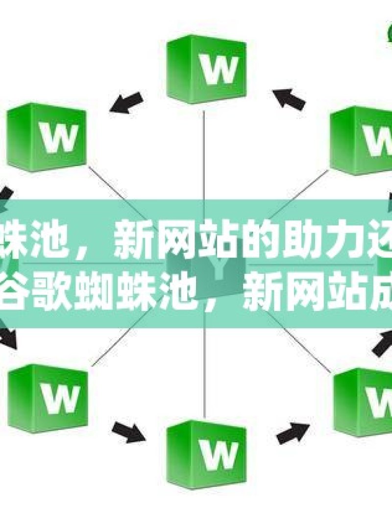 谷歌蜘蛛池，新网站的助力还是陷阱？揭秘谷歌蜘蛛池，新网站成长的助推器？ - 