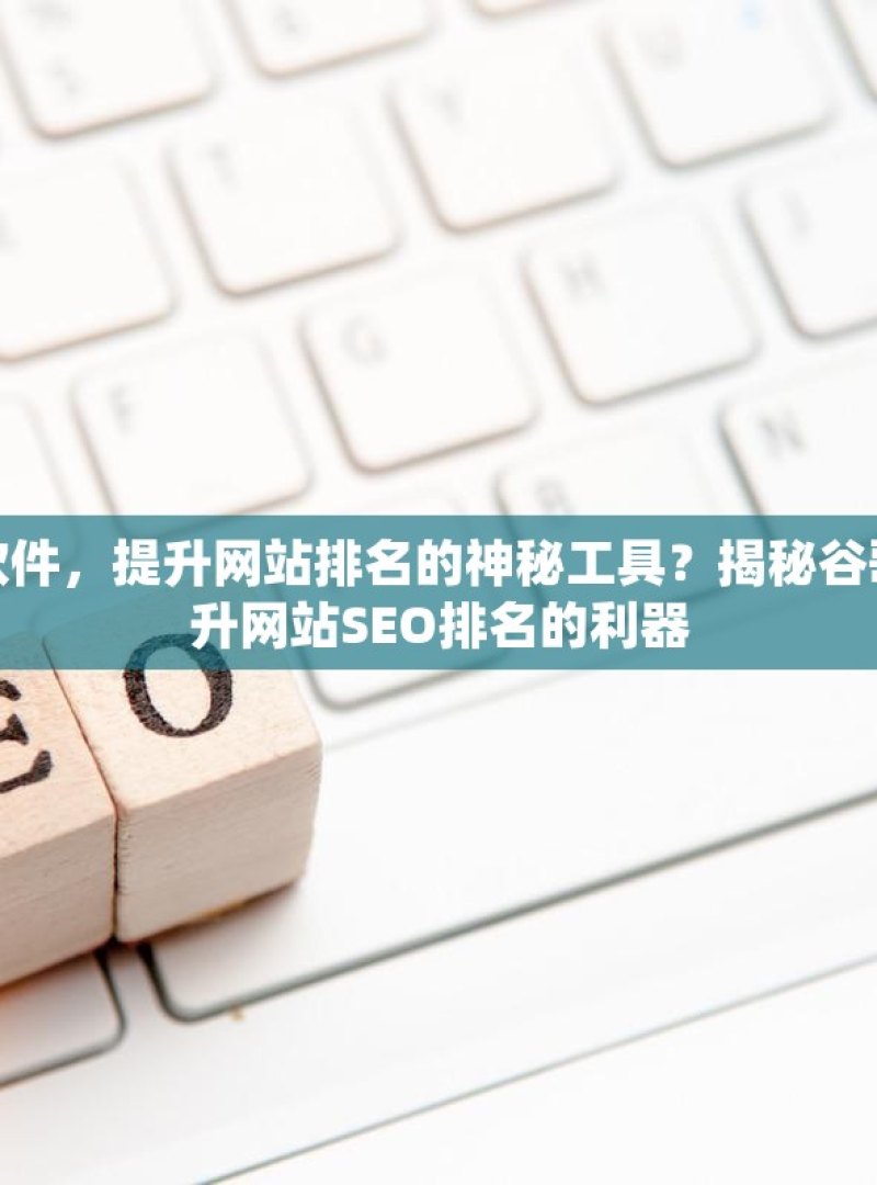 探索谷歌蜘蛛池软件，提升网站排名的神秘工具？揭秘谷歌蜘蛛池软件，提升网站SEO排名的利器