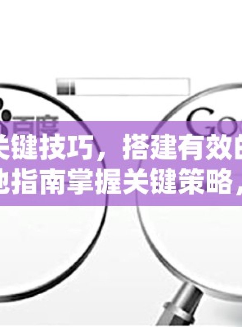 掌握关键技巧，搭建有效的谷歌蜘蛛池指南掌握关键策略，打造高效谷歌蜘蛛池的终极指南