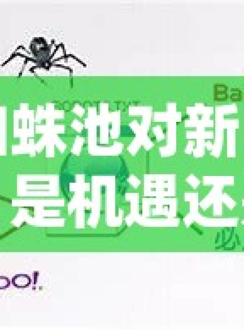 谷歌蜘蛛池对新网站的助力，是机遇还是陷阱？