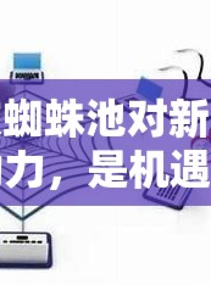 谷歌蜘蛛池对新网站的助力，是机遇还是陷阱？