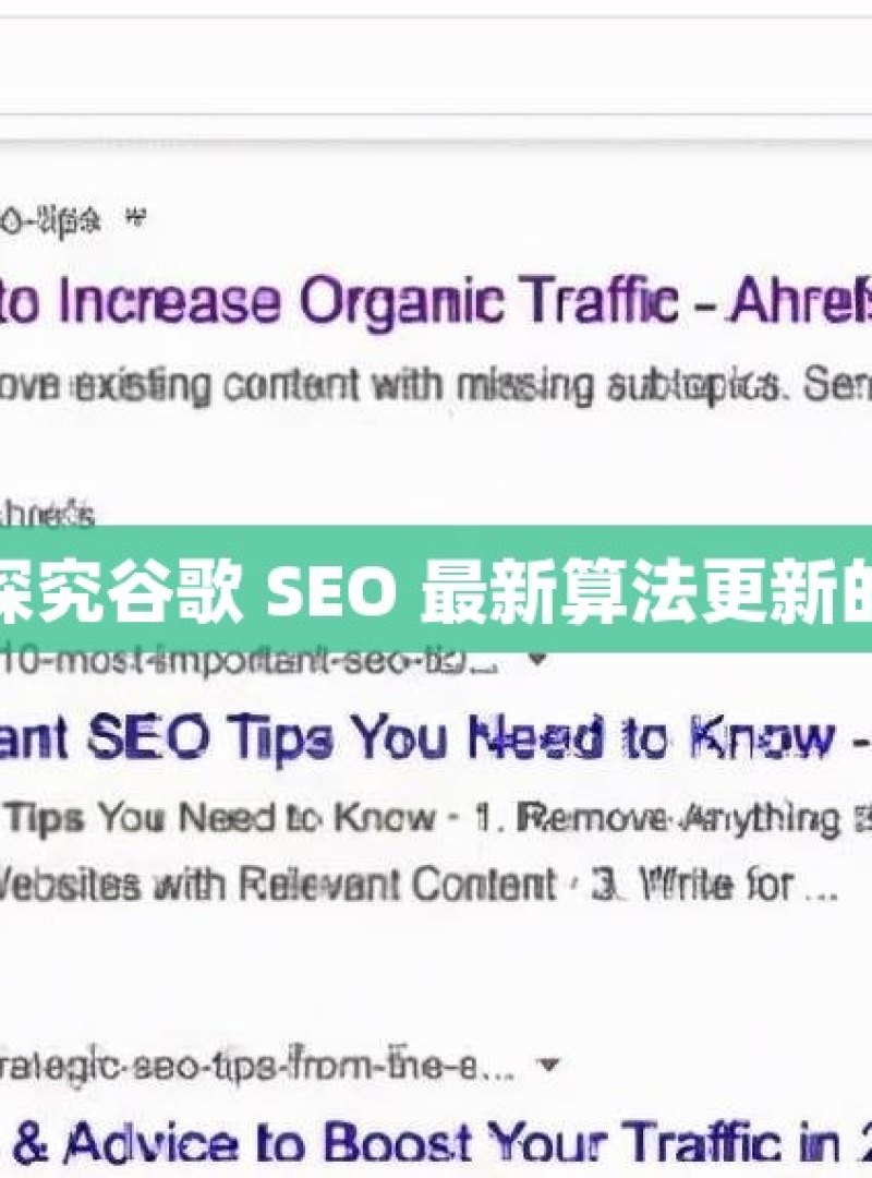 深入探究谷歌 SEO 最新算法更新的奥秘