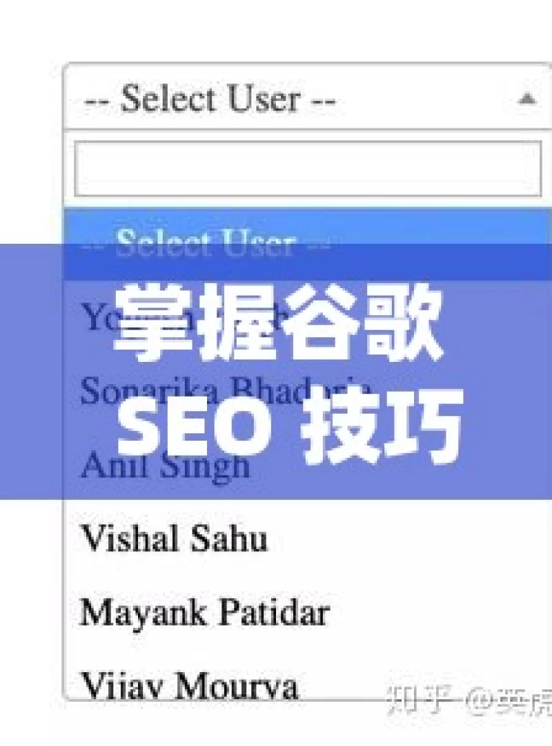 掌握谷歌 SEO 技巧，提升自然收录的秘诀揭晓