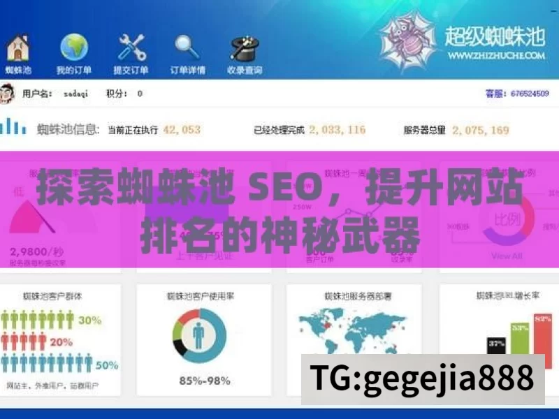 探索蜘蛛池 SEO，提升网站排名的神秘武器