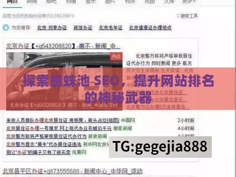 探索蜘蛛池 SEO，提升网站排名的神秘武器