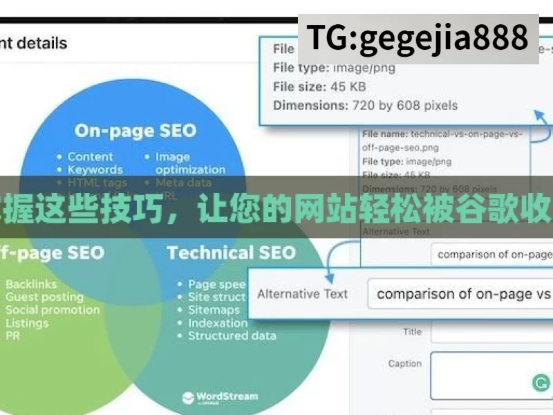 掌握这些技巧，让您的网站轻松被谷歌收录