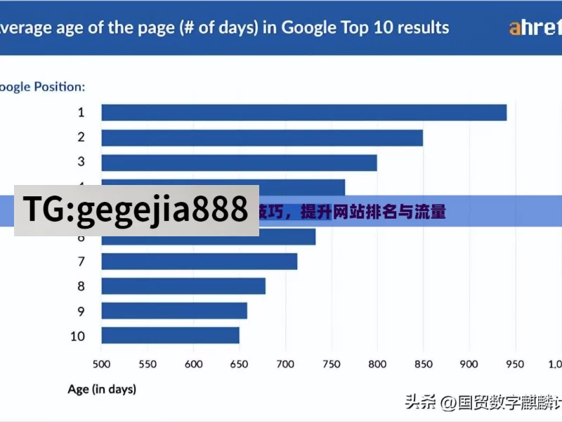 掌握 Google SEO 技巧，提升网站排名与流量