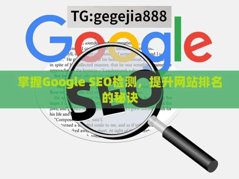 掌握Google SEO检测，提升网站排名的秘诀