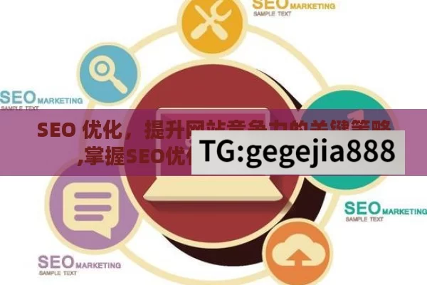 SEO 优化，提升网站竞争力的关键策略,掌握SEO优化，提升网站流量