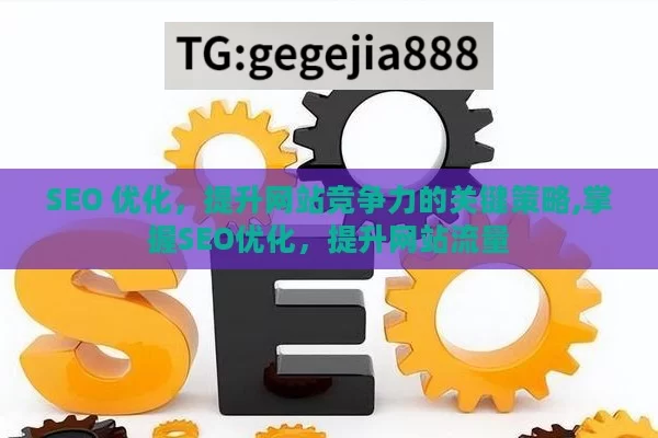 SEO 优化，提升网站竞争力的关键策略,掌握SEO优化，提升网站流量