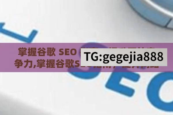 掌握谷歌 SEO 指南，提升网站竞争力,掌握谷歌SEO指南，提升网站排名