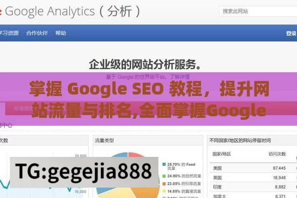 掌握 Google SEO 教程，提升网站流量与排名,全面掌握Google SEO教程，提升网站排名的秘诀