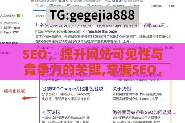 SEO，提升网站可见性与竞争力的关键,掌握SEO，提升网站排名的关键策略