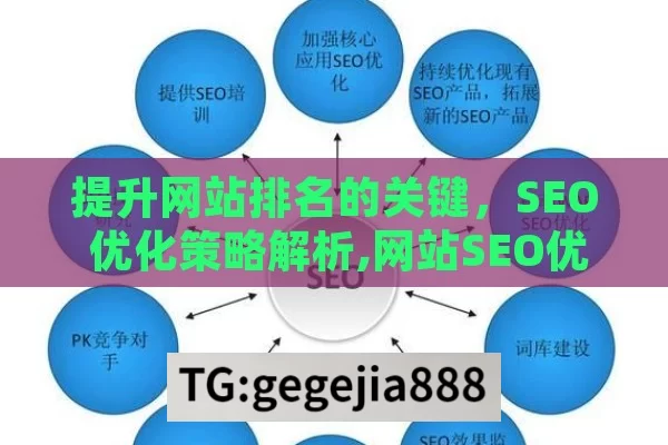 提升网站排名的关键，SEO 优化策略解析,网站SEO优化秘籍