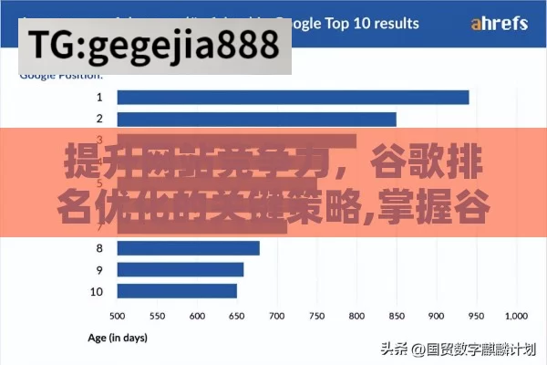 提升网站竞争力，谷歌排名优化的关键策略,掌握谷歌排名优化，提升网站流量