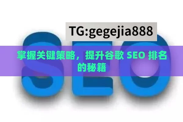 掌握关键策略，提升谷歌 SEO 排名的秘籍