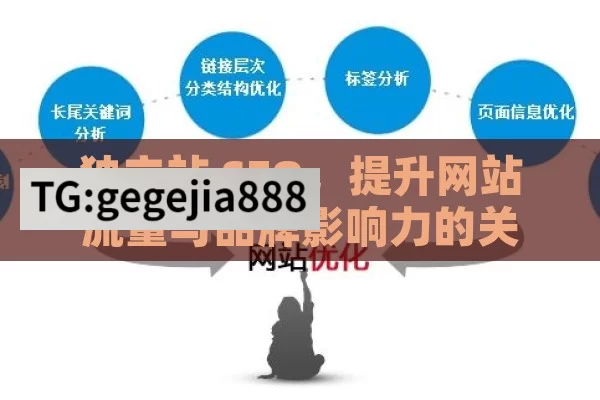 独立站 SEO，提升网站流量与品牌影响力的关键,独立站SEO优化指南