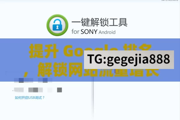 提升 Google 排名，解锁网站流量增长的密码,提升Google排名，制胜在线市场的关键策略