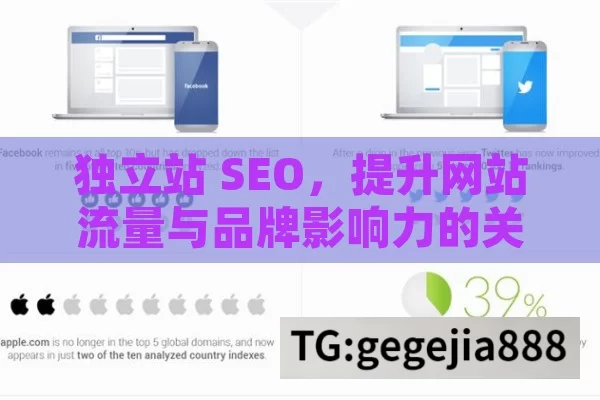 独立站 SEO，提升网站流量与品牌影响力的关键,独立站SEO，解锁在线可见性的关键策略