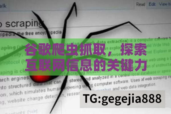 谷歌爬虫抓取，探索互联网信息的关键力量,谷歌爬虫抓取，揭秘搜索引擎的幕后英雄